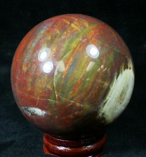 Colorful Petrified Wood Sphere #20617